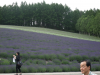 DSCF0138.JPG